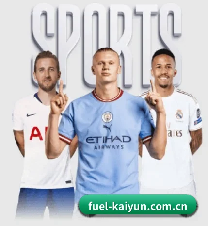 五大体育板块覆盖,从比分到直播全覆盖 | kaiyun